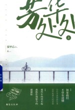 芳华处处  上 电子书封面