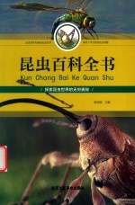 昆虫百科全书 封面