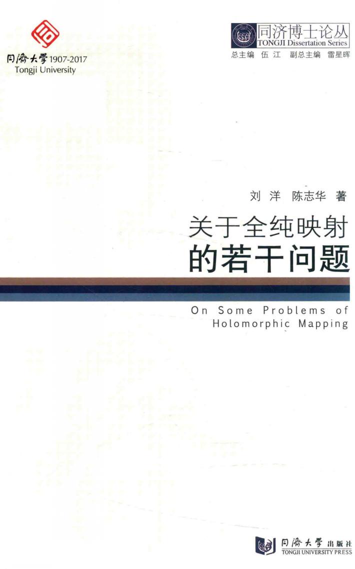 同济博士论丛 关于全纯影射的若干问题 封面