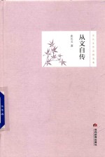 从文自传 封面