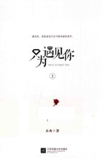 只为遇见你  上 封面