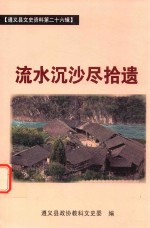 流水沉沙尽拾遗 封面