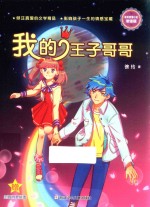 我的王子哥哥 封面