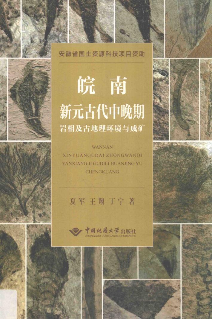 皖南新元古代中晚期岩相及古地理环境与成矿 封面