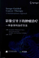 影像引导下的肿瘤治疗  一种多学科治疗方法 封面