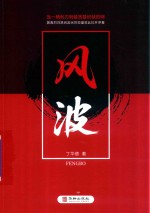 风波 封面