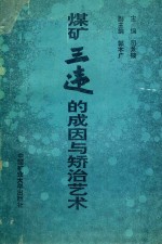 煤矿“三违”的成因与矫治艺术 封面