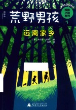 远离家乡 封面