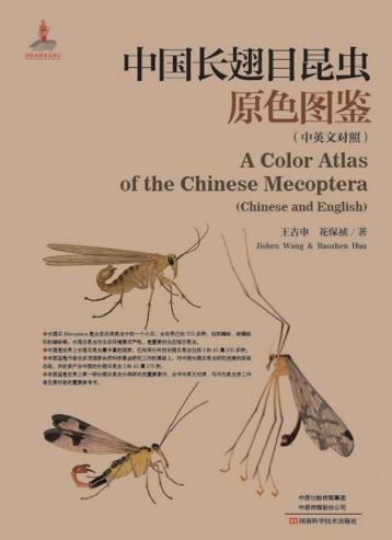 中国长翅目昆虫原色图鉴  中英文对照 封面