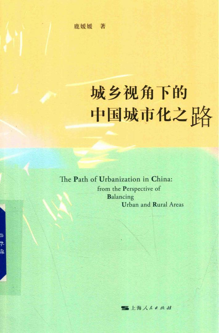 城乡视角下的中国城市化之路 封面