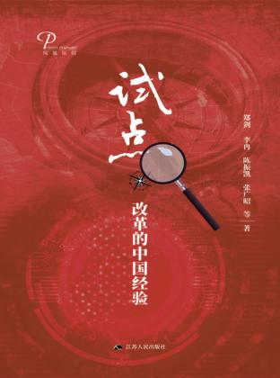 试点 改革的中国经验 封面