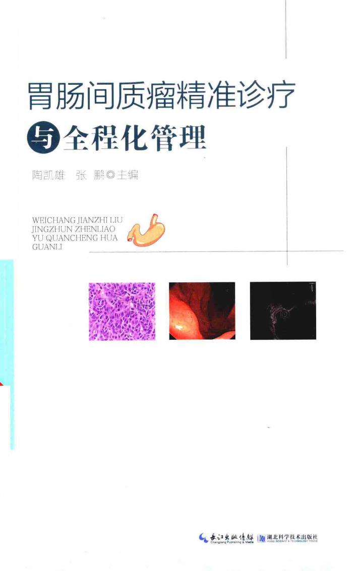 胃肠间质瘤精准诊疗与全程化管理 封面