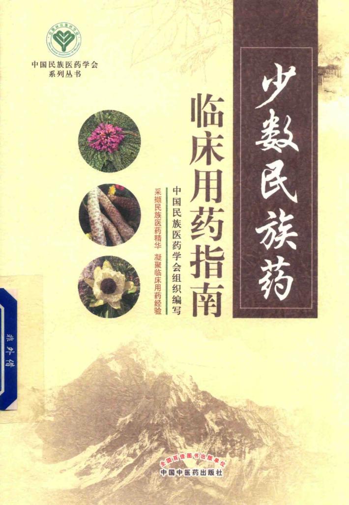 少数民族药临床用药指南 封面