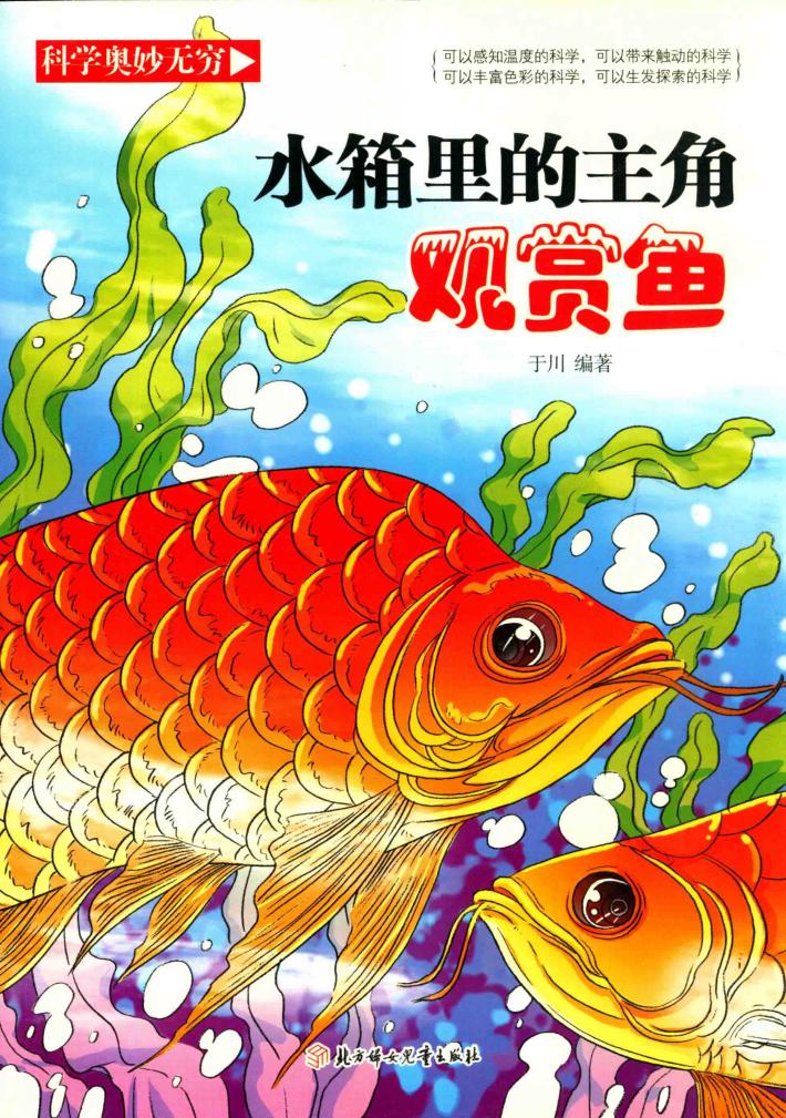 水箱里的主角  观赏鱼 封面