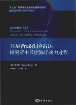 卫星合成孔径雷达探测亚中尺度海洋动力过程 封面