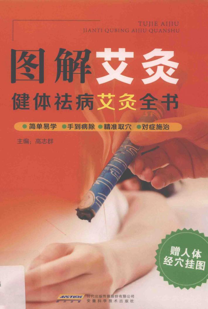 图解艾灸  健体祛病艾灸全书 封面