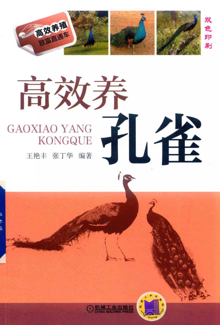高效养孔雀 封面
