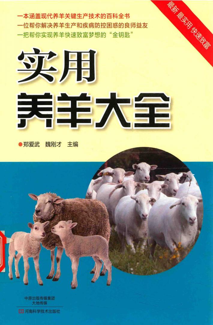 实用养羊大全 封面