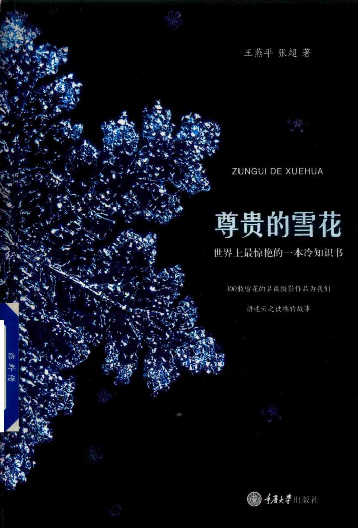 尊贵的雪花 封面