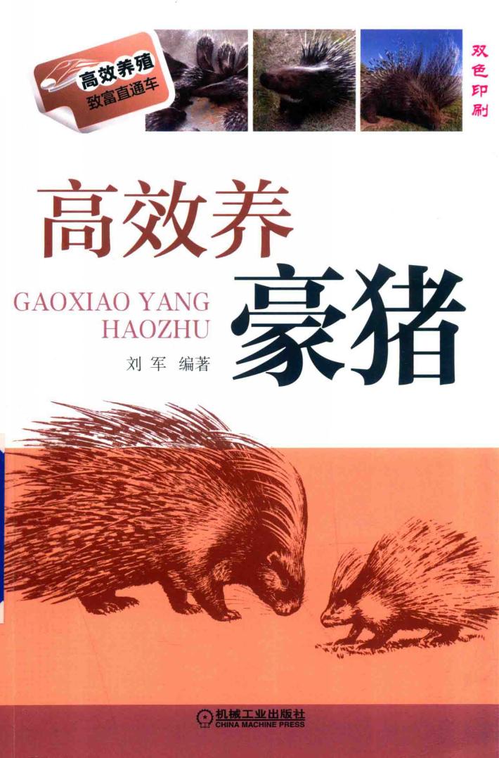 高效养豪猪 封面