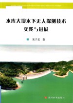 水库大坝水下无人探测技术实践与进展