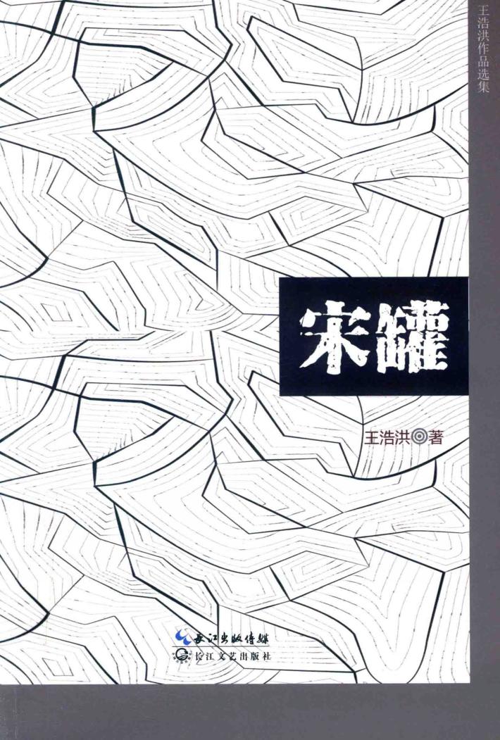 宋罐 封面