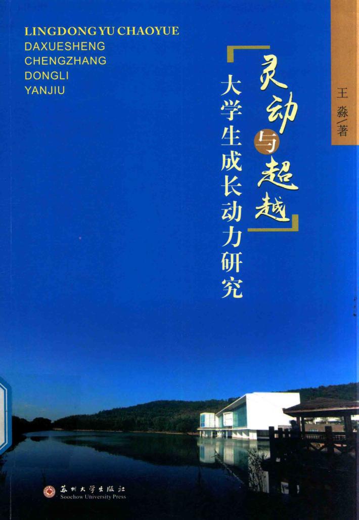 灵动与超越  大学生成长动力研究 封面