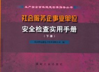 社会服务企事业单位安全检查实用手册 下 封面