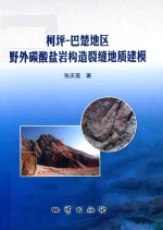 柯坪-巴楚地区野外碳酸盐岩构造裂缝地质建模 封面