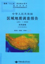 中华人民共和国区域地质调查报告  改则县幅  I45C004001  比例尺1：250000 封面
