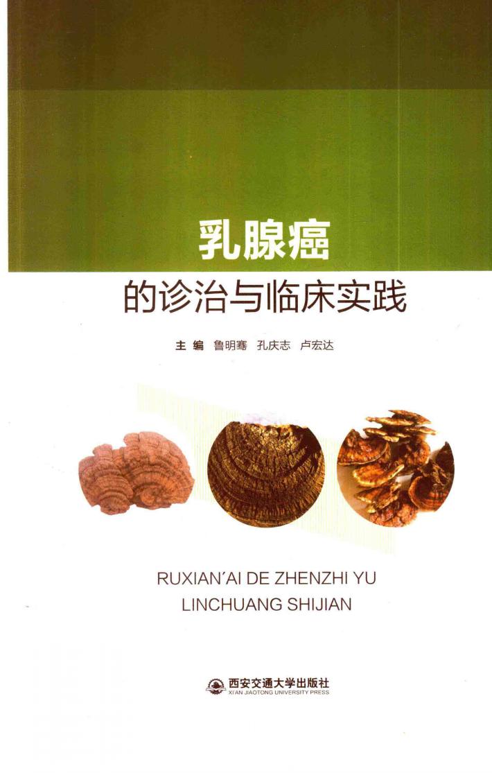 乳腺癌的诊治与临床实践 封面