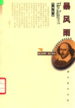 暴风雨 封面
