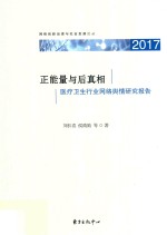 正能量与后真相 封面