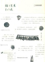 中国国家地理  绿了芭蕉红了花 封面