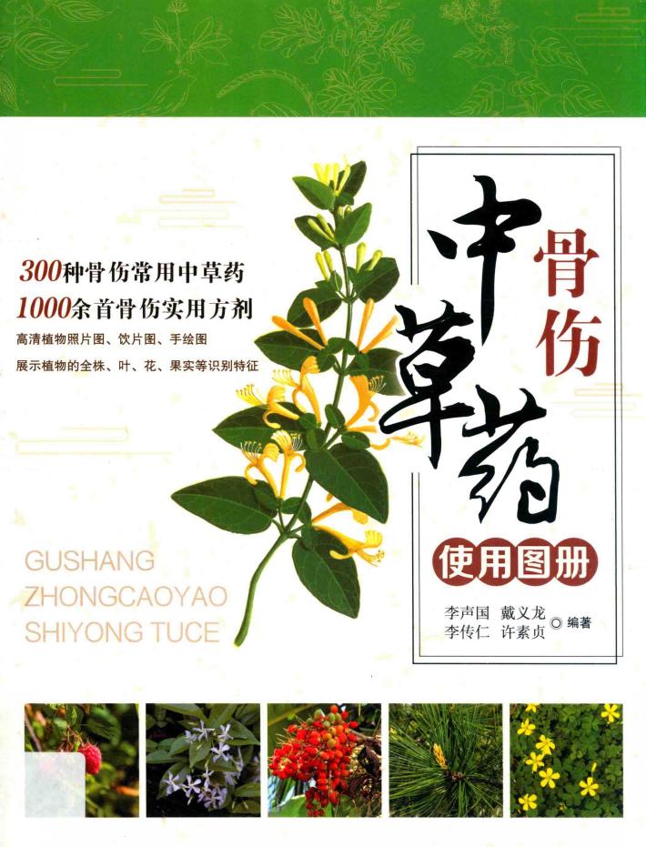 骨伤中草药使用图册 封面