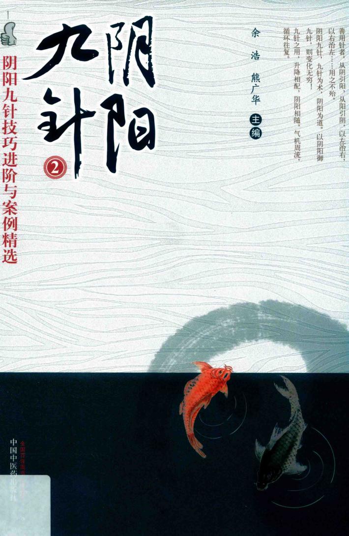 阴阳九针 2 封面