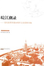皖江潮录 封面