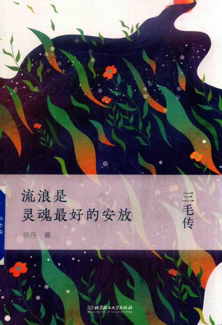 流浪是灵魂最好的安放  三毛传 封面