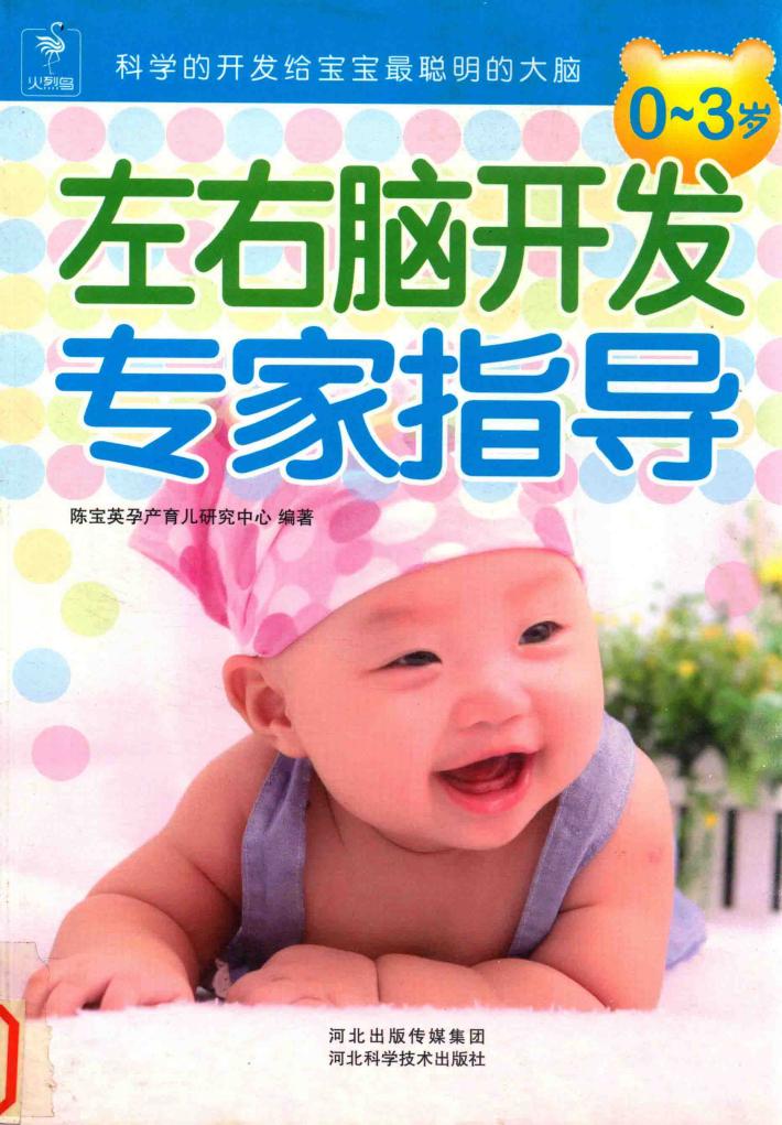 0-3岁左右脑开发专家指导 封面
