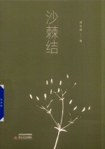 沙棘结 电子书封面
