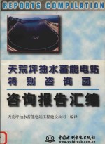 天荒坪抽水蓄能电站特别咨询团咨询报告汇编 封面