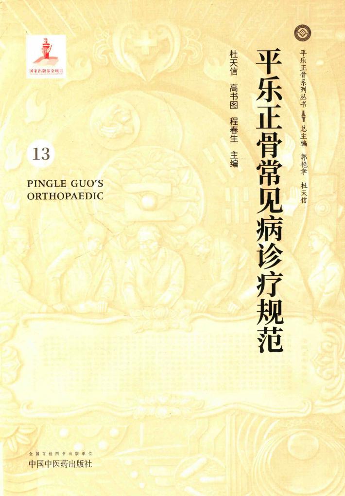 平乐正骨常见病诊疗规范 封面