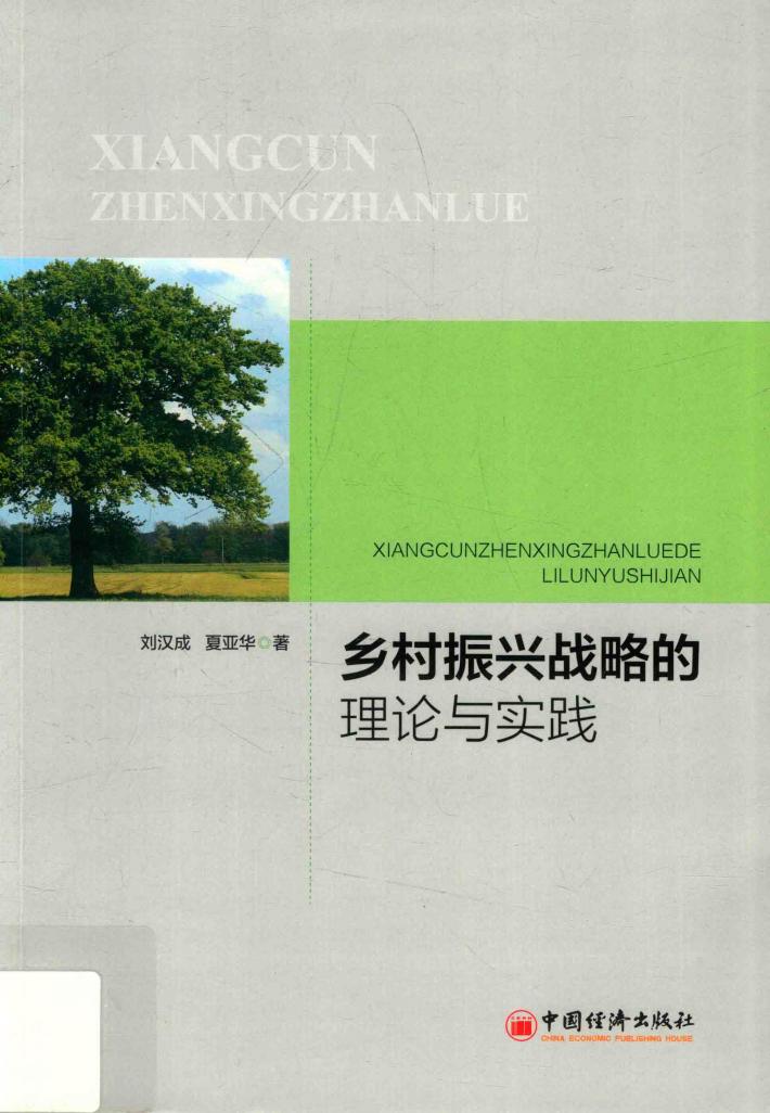 乡村振兴战略的理论与实践 封面