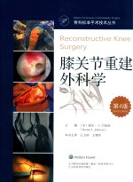 膝关节重建外科学  第4版 电子书封面