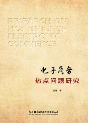 电子商务热点问题研究 封面