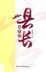 县长这个官 封面