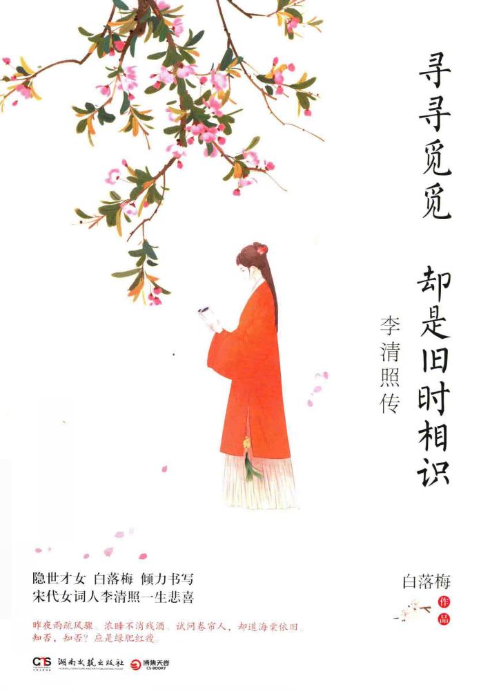 寻寻觅觅  却是旧时相识  李清照传 封面