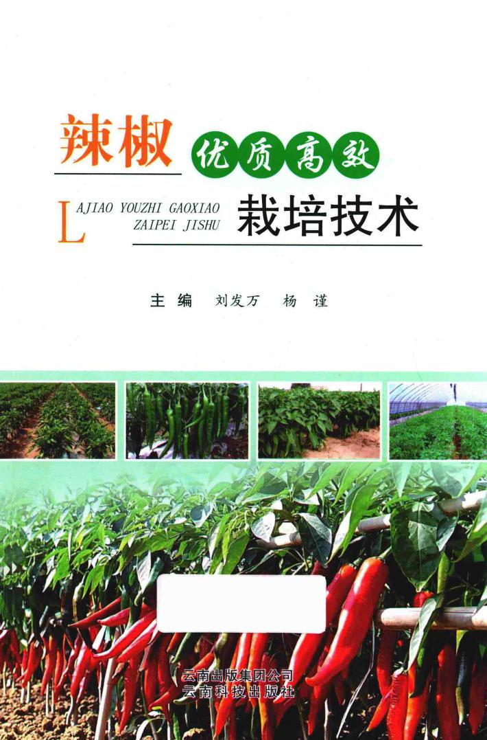 辣椒优质高效栽培技术 封面