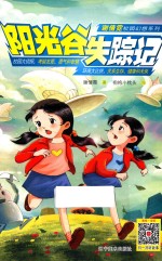 阳光谷失踪记 封面