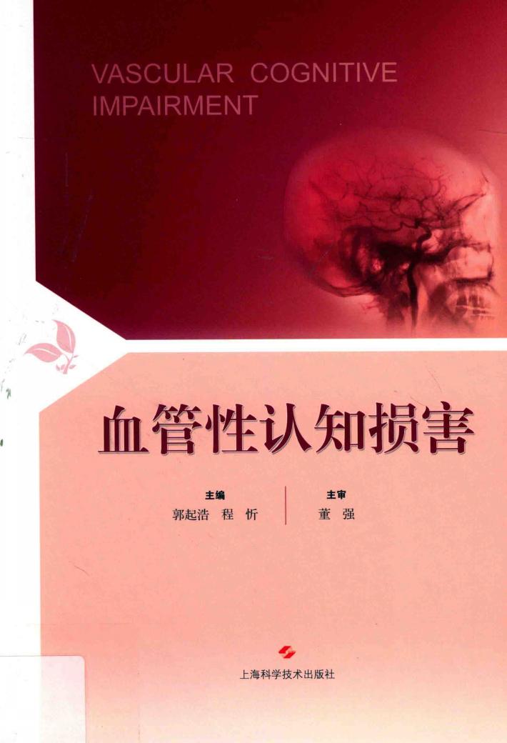 血管性认知损害 封面
